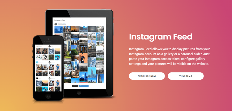 Item cover for download Instagram Feed by Quadlayers