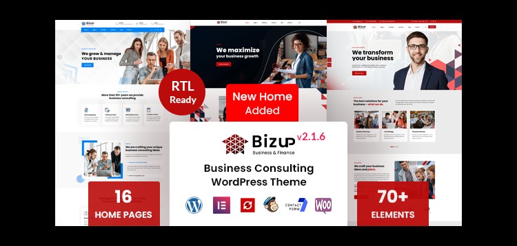 Item cover for download Bizup - Business Consulting WordPress Theme