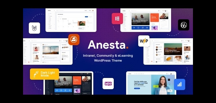 Anesta - Intranet, Extranet, Community and BuddyPress WordPress Theme