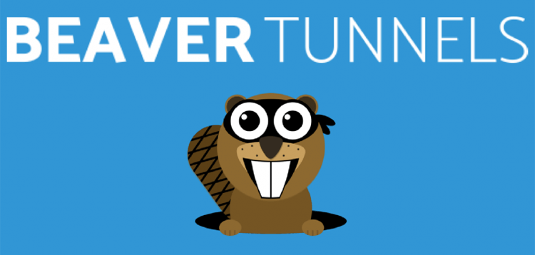 Item cover for download Beaver Tunnels