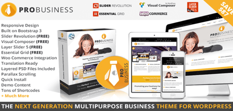 Item cover for download PRO Business - Responsive Multi-Purpose Theme