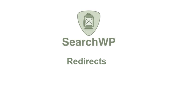 Item cover for download SearchWP – Redirects