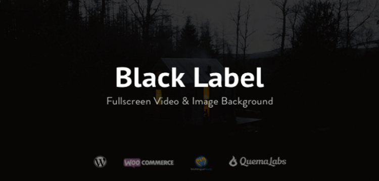 Item cover for download Black Label - Fullscreen Video  Image Background