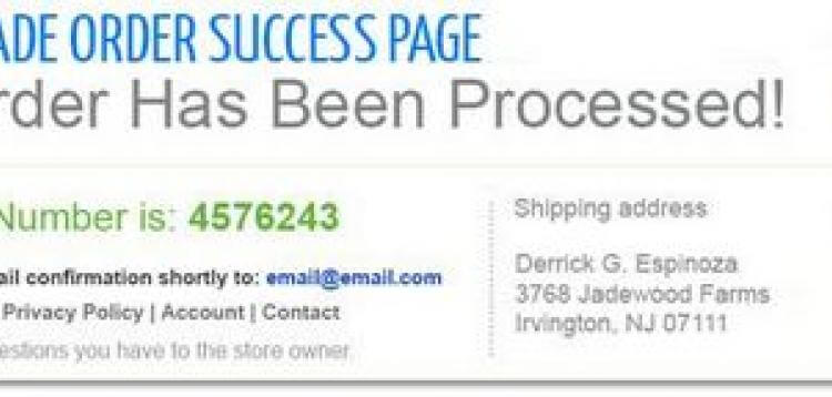 Item cover for download Custom Success Page