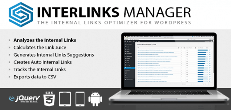 Item cover for download Interlinks Manager