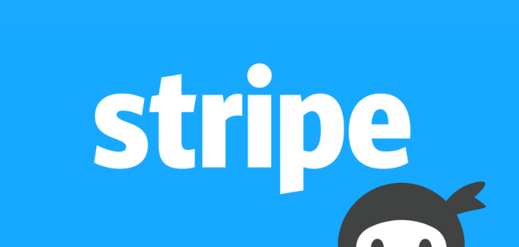 Item cover for download Ninja Forms - Stripe