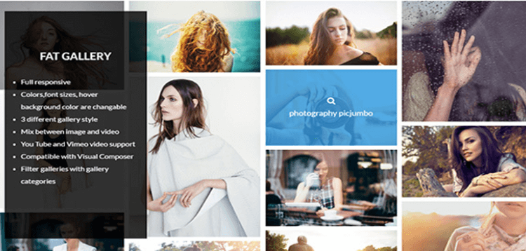 Item cover for download FAT Image Gallery For Wordpress