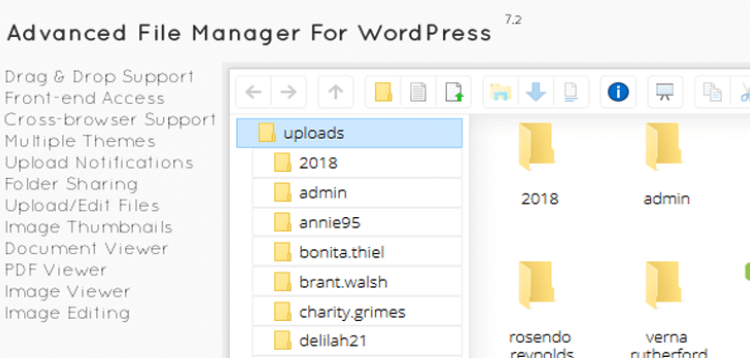 Item cover for download File Manager Plugin For Wordpress