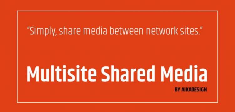Item cover for download WordPress Multisite Shared Media