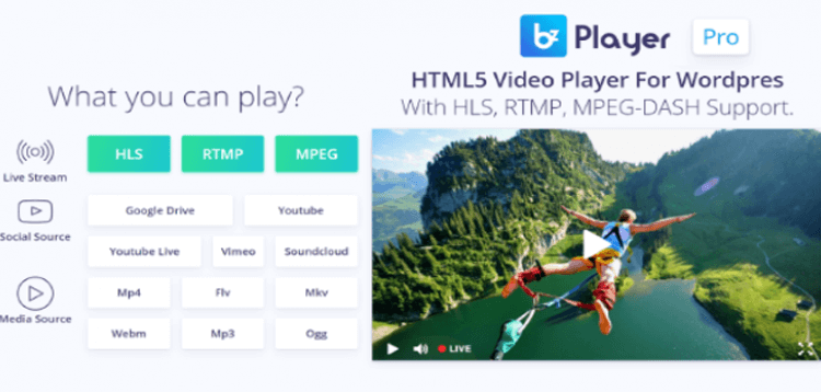 Item cover for download bzplayer Pro - Live Streaming Player WordPress Plugin