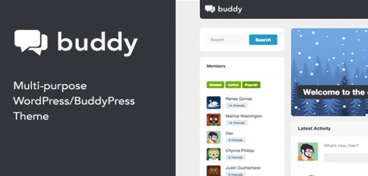 Item cover for download Buddy: Simple WordPress  BuddyPress Theme