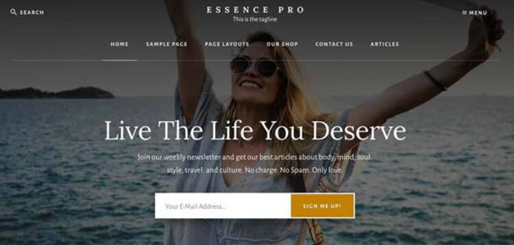 Item cover for download STUDIOPRESS ESSENCE PRO THEME