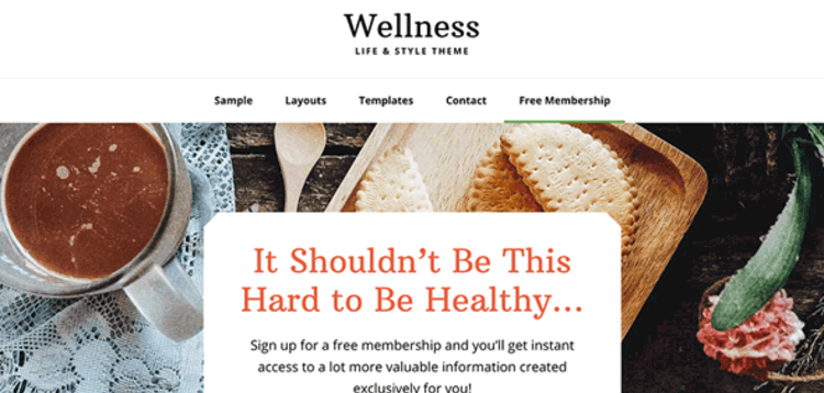Item cover for download STUDIOPRESS WELLNESS PRO