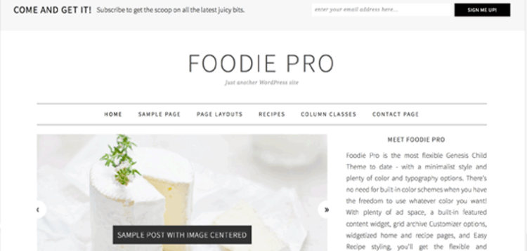 Item cover for download STUDIOPRESS FOODIE PRO THEME
