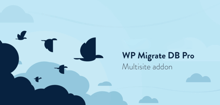 Item cover for download WP MIGRATE DB PRO - MULTISITE ADDON