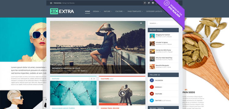 Item cover for download Elegant Themes Extra WordPress Theme