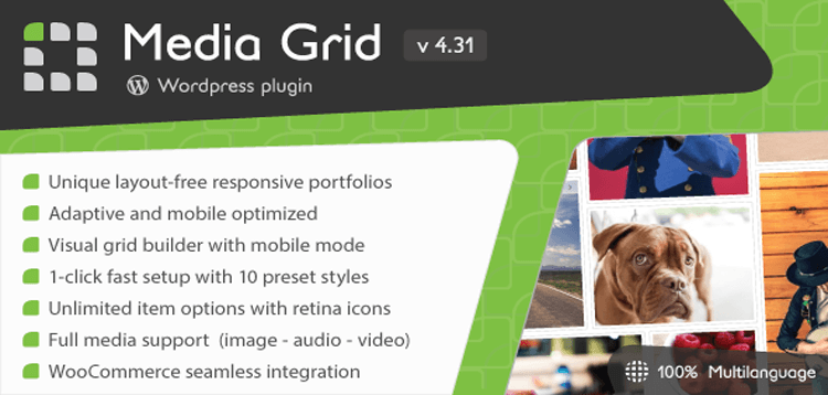 Item cover for download Media Grid - Wordpress Responsive Portfolio