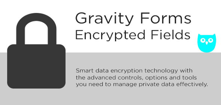 Item cover for download Gravity Forms Encrypted Fields