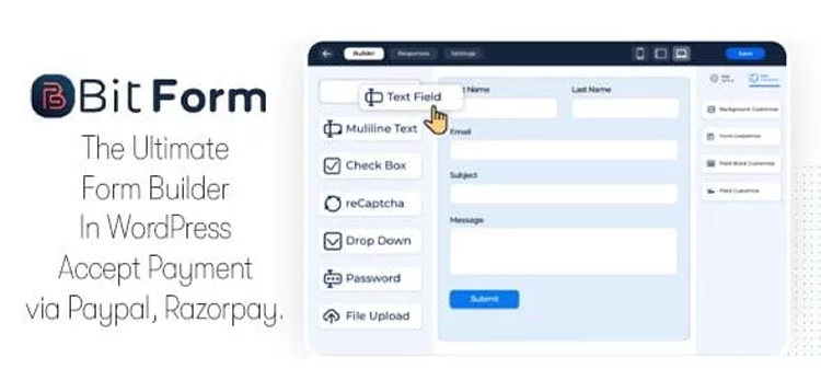 Item cover for download Bit Form Pro WordPress Drag Drop Contact Form, Payment Form Builder