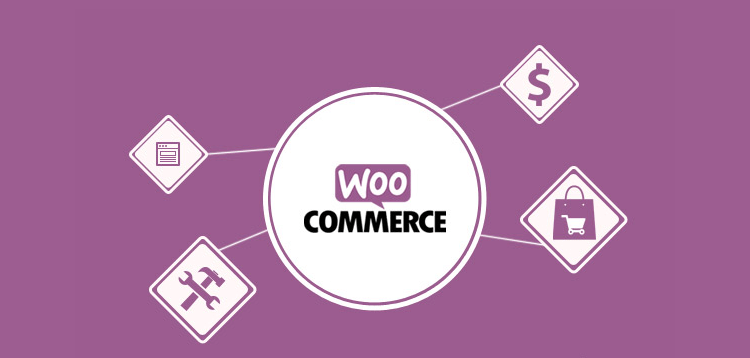 WooCommerce – API Manager