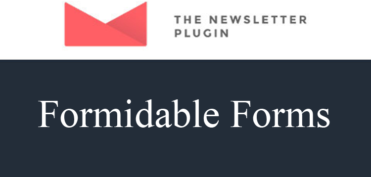 Item cover for download Newsletter Formidable Forms