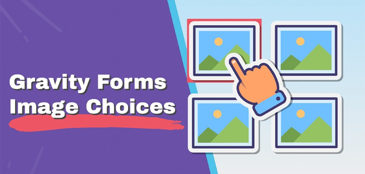 Gravity Forms Enhanced Choices