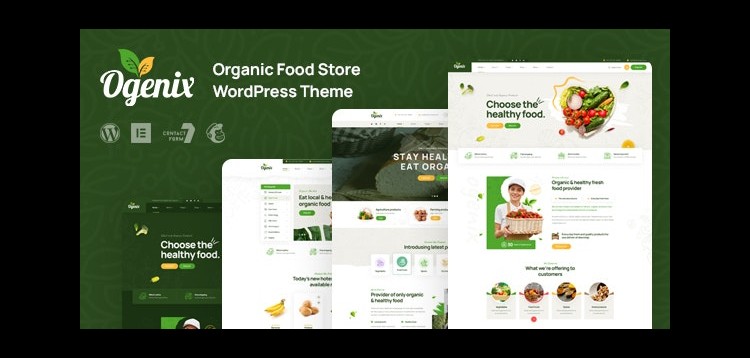 Item cover for download Ogenix - Organic Food Store WordPress Theme